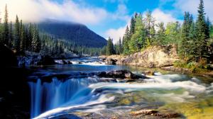 Nature scenery, forest, thick spruce, river, rocks, waterfalls, mountain wallpaper thumb