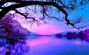 Purple Sunset On The Lake wallpaper thumb