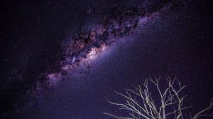 Galaxy Stars Milky Way Night Branches HD wallpaper thumb