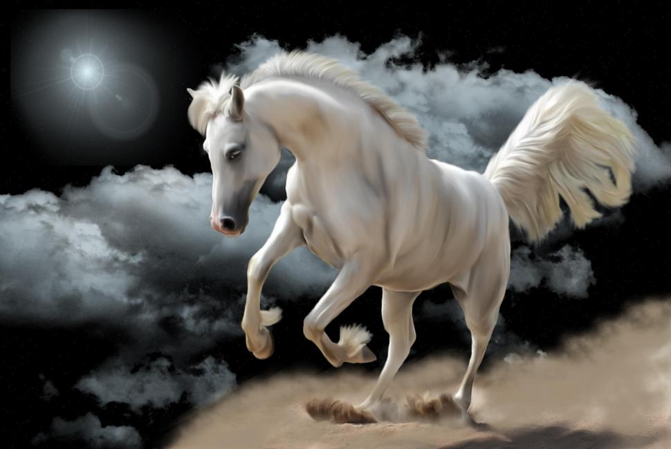 Horse White wallpaper | animals | Wallpaper Better