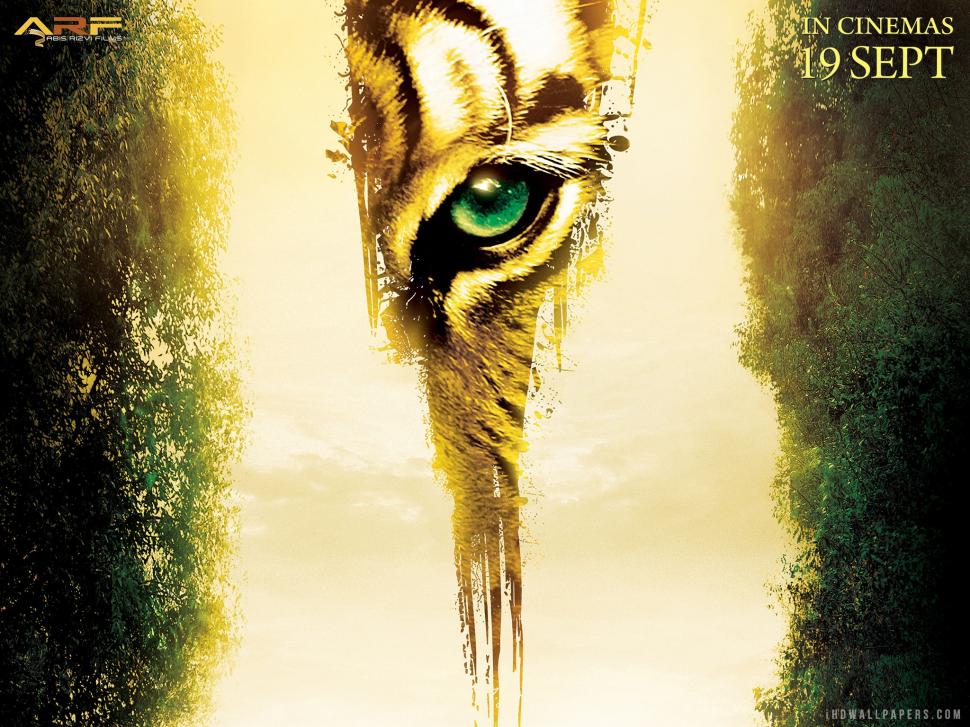 Roar Tigers Of The Sundarbans 2014 wallpaper,2014 HD wallpaper,sundarbans HD wallpaper,tigers HD wallpaper,roar HD wallpaper,2048x1536 wallpaper