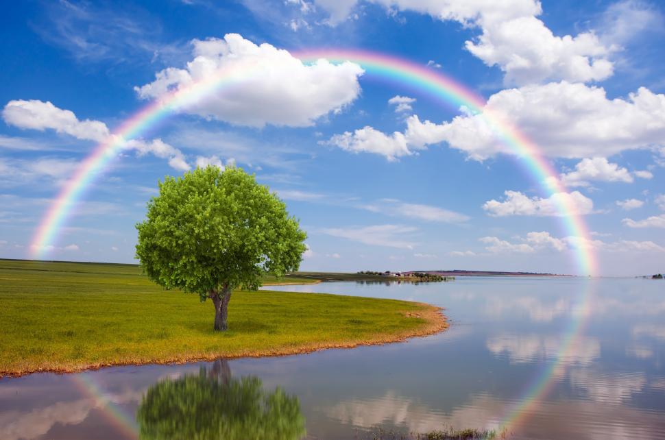 Rainbow tree wallpaper,tree HD wallpaper,rain HD wallpaper,field HD wallpaper,rainbow HD wallpaper,nature HD wallpaper,hd wallpapers HD wallpaper,nature wallpapers HD wallpaper,3500x2319 wallpaper