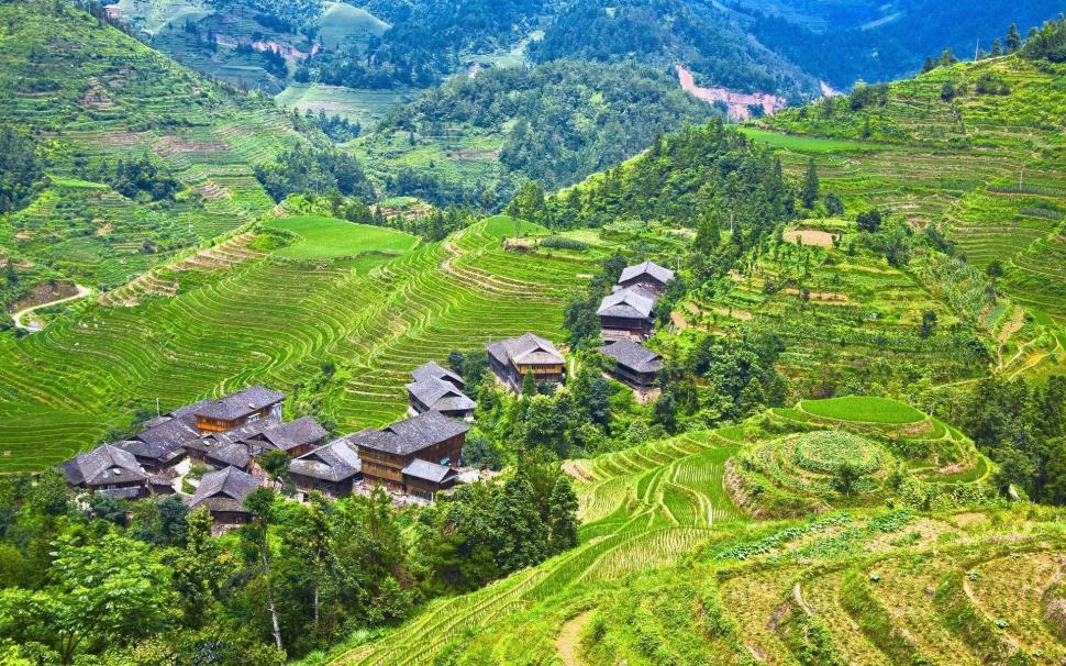 Longji Terraces Rice Fields Guilin China Wallpaper Other
