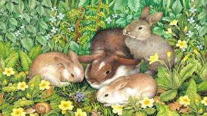 Spring Rabbits wallpaper thumb