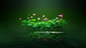 Lotus pond, lotus, flowers, pink, water, petal, Lotus leaf, green wallpaper thumb