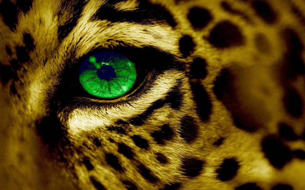 Cat's Eye wallpaper,leopard HD wallpaper,face HD wallpaper,green HD wallpaper,animals HD wallpaper,1920x1200 wallpaper