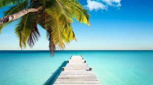 Tropical paradise, dock, shore, sea, blue, turquoise, ocean, palm, wallpaper thumb