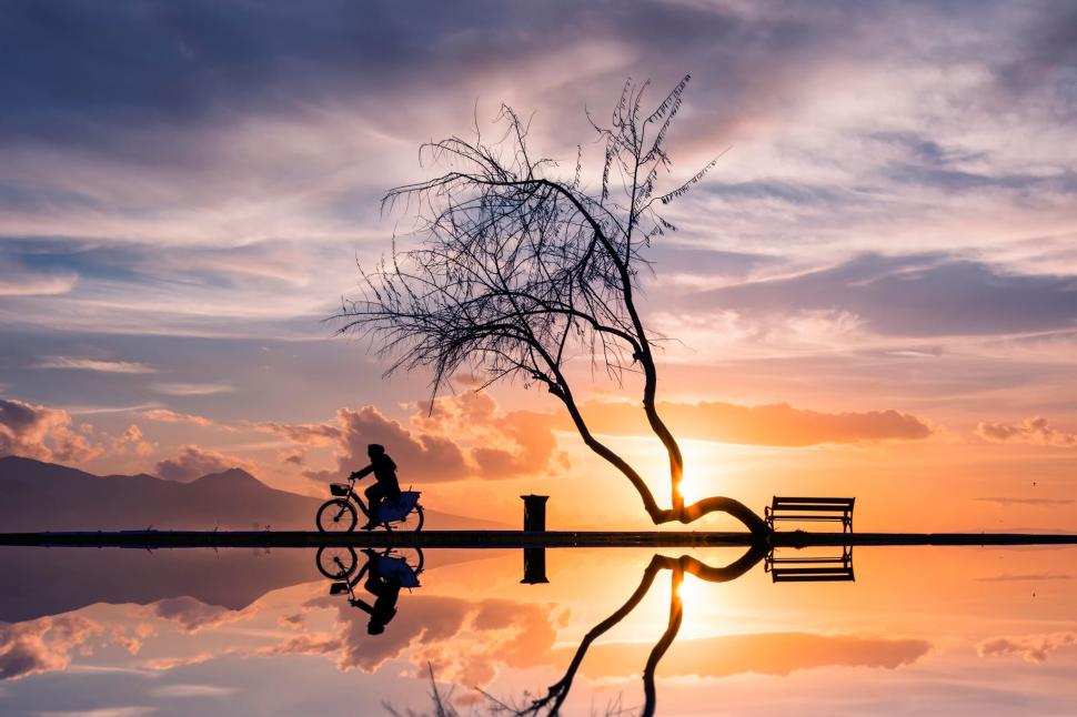 Women on bycicle in sunset wallpaper,Sunset HD wallpaper,tree HD wallpaper,woman HD wallpaper,bicycle HD wallpaper,silhouettes HD wallpaper,reflection HD wallpaper,2048x1365 wallpaper