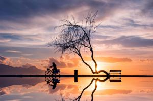 Women on bycicle in sunset wallpaper thumb