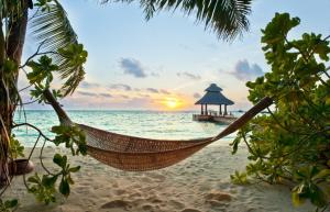 tropics, beach, sand, hammock, holiday, palm wallpaper thumb