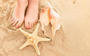 Feet Shells Starfish Beach Sand HD wallpaper thumb