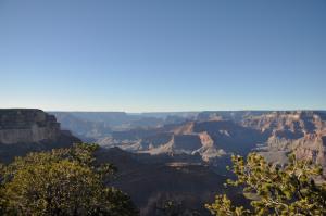 Grand Canyon, Trees, Nature wallpaper thumb