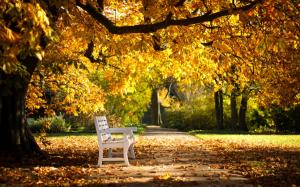 Autumn park, bench, yellow leaves wallpaper thumb