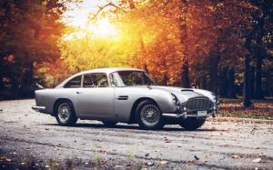 Car, Fall, Sunset, Aston Martin, Aston Martin DB5 wallpaper thumb