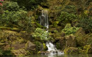 Waterfall Green Forest Jungle Rocks Stones Moss HD wallpaper thumb