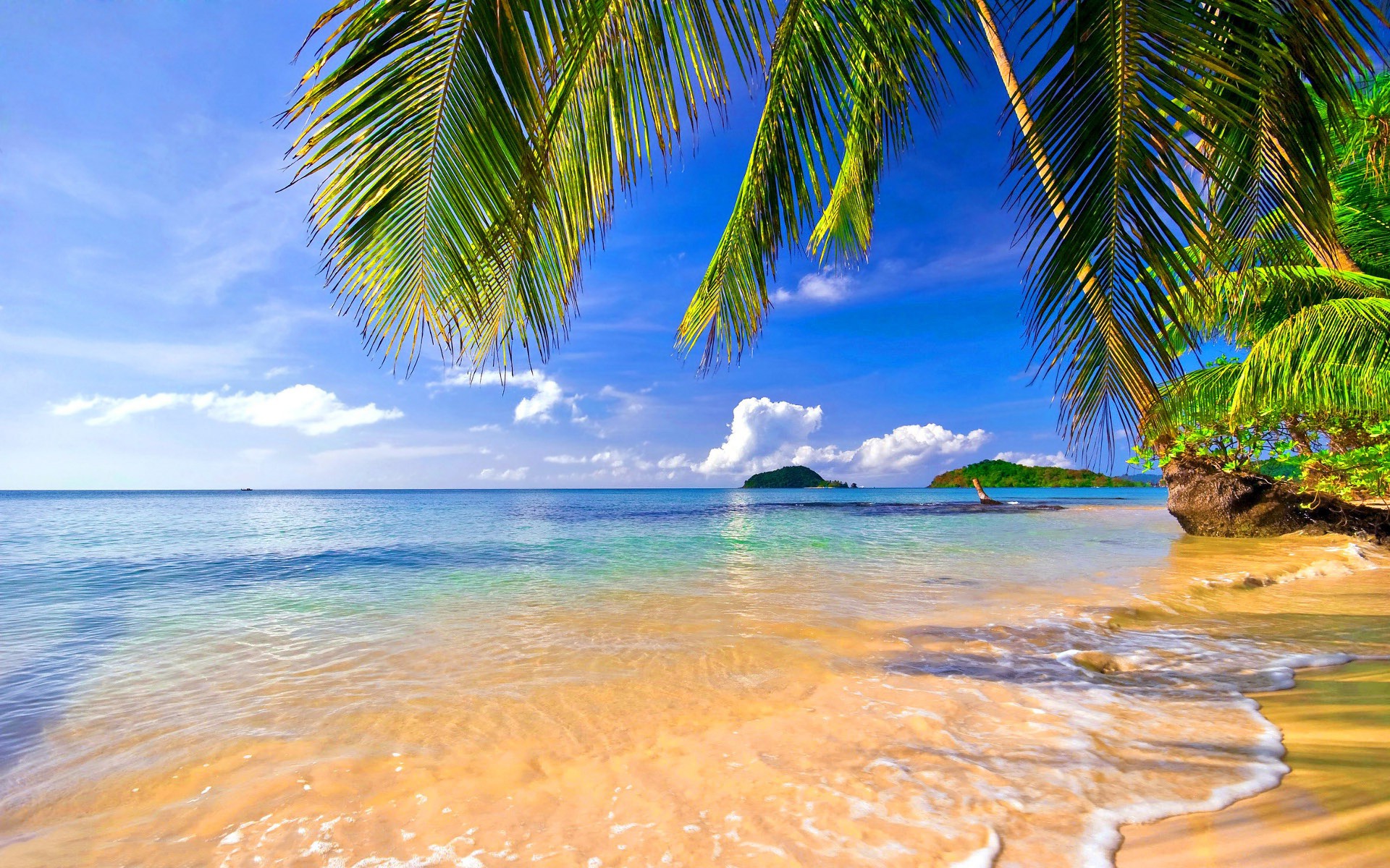 Sea, palm trees wallpaper | nature and landscape ...