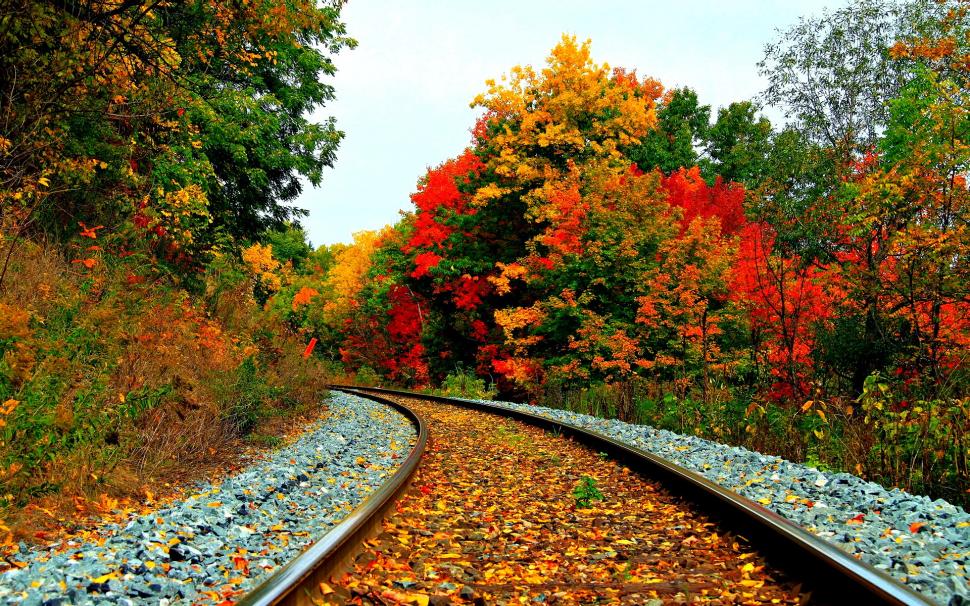 Bright Rail wallpaper,bright HD wallpaper,Autumn HD wallpaper,rail HD wallpaper,1920x1200 wallpaper