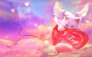 Angel cat Cupidon wallpaper thumb