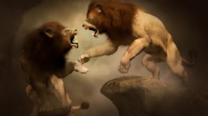 Lions Drawing Fight HD wallpaper thumb