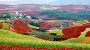 Colorful Fields In Yunnan China wallpaper thumb