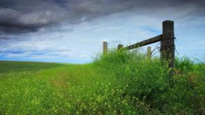 Wooden Fence in the Middle of the Field wallpaper thumb