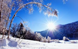 Winter, snow, mountains and trees, white scenery, dazzling sunshine wallpaper thumb