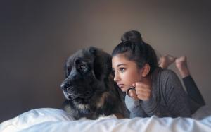 girl, dog, Labrador wallpaper thumb