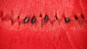 Watermelon slice wallpaper thumb