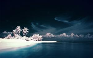 Tropical Beach Ocean Palm Tree Clouds HD wallpaper thumb