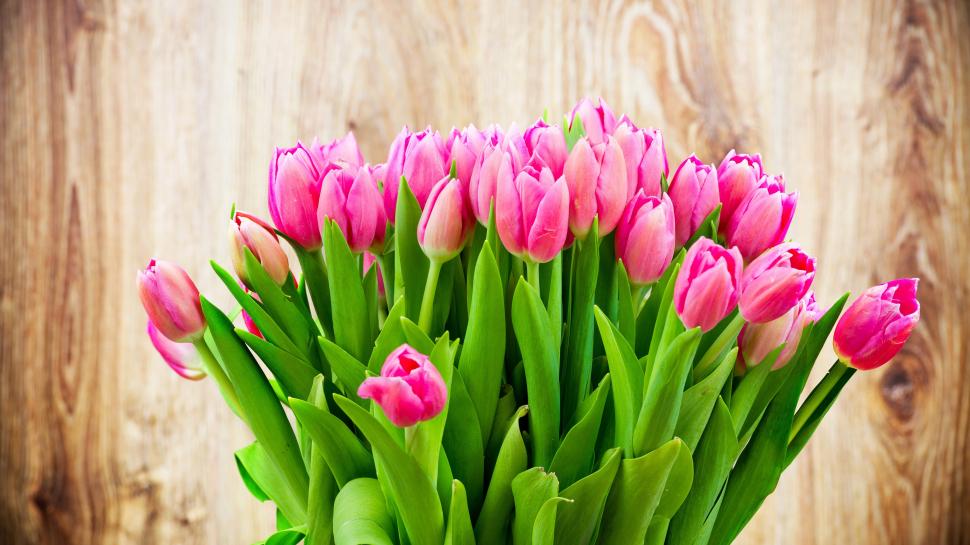 Beautiful pink tulip flowers bouquet wallpaper,Beautiful HD wallpaper,Pink HD wallpaper,Tulip HD wallpaper,Flowers HD wallpaper,Bouquet HD wallpaper,3840x2160 wallpaper