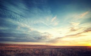 field, dawn, sky, beautiful scenery wallpaper thumb