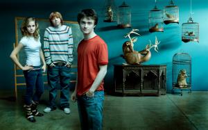 Emma Watson with Harry Potter Movie Crew HD Wide HD wallpaper thumb