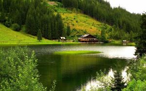 Nature scenery, mountains, trees, river, house, green wallpaper thumb