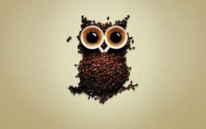 Funny Coffee Owl wallpaper thumb