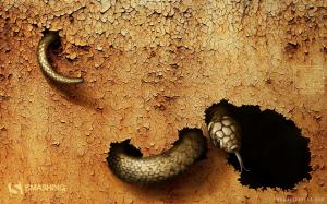 Dangerous Snake Art wallpaper thumb
