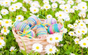 Easter, eggs, daisies, white flowers, spring wallpaper thumb