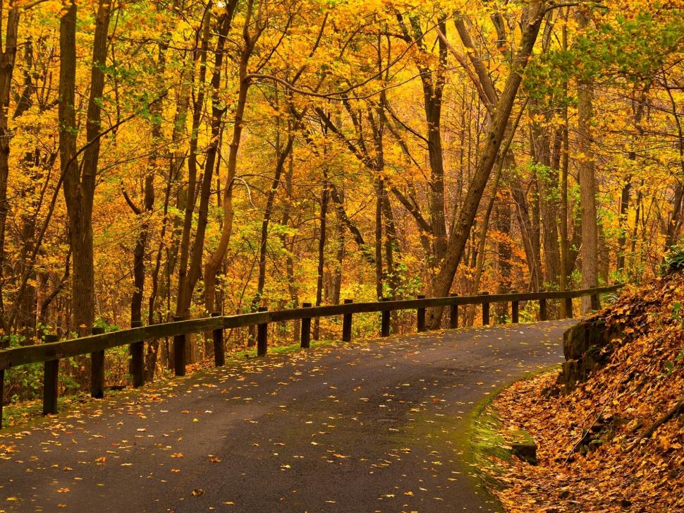 Park, trees, yellow leaves, road, autumn wallpaper,Park HD wallpaper,Trees HD wallpaper,Yellow HD wallpaper,Leaves HD wallpaper,Road HD wallpaper,Autumn HD wallpaper,1920x1440 wallpaper