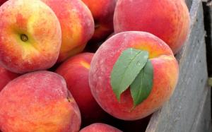 Peach fruit close-up wallpaper thumb