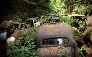 Abandon Deserted Overgrowth Classic Car Classic Forest HD wallpaper thumb