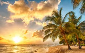 Tropical, paradise, beach, palms, sea, ocean, sunset wallpaper thumb