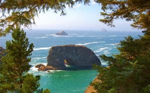 Pacific coast, sea waves, rocks, trees, Oregon, USA wallpaper thumb