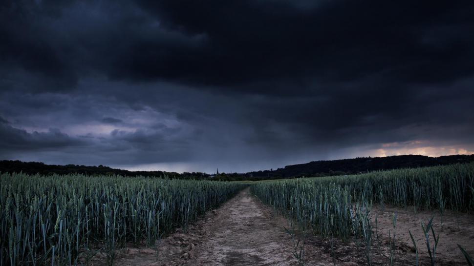 Storm Arriving Over A Young Wheat Field wallpaper,field HD wallpaper,storm HD wallpaper,wheat HD wallpaper,clouds HD wallpaper,nature & landscapes HD wallpaper,1920x1080 wallpaper