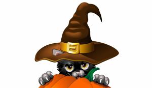 cat, hat, halloween, pumpkin wallpaper thumb