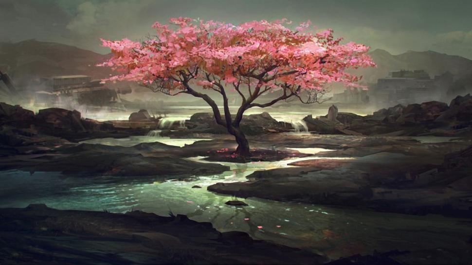 Tree Drawing Rocks Stones HD wallpaper | nature and landscape | Wallpaper  Better