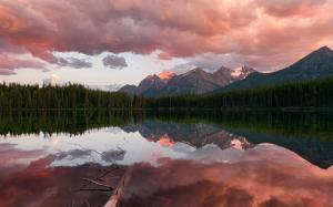 Canada, Banff National Park, Rocky Mountains, Herbert Lake, coniferous forest wallpaper thumb