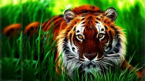 Tiger Fractal Face Eyes Pattern Stripes Grass Art High Resolution Pictures wallpaper thumb
