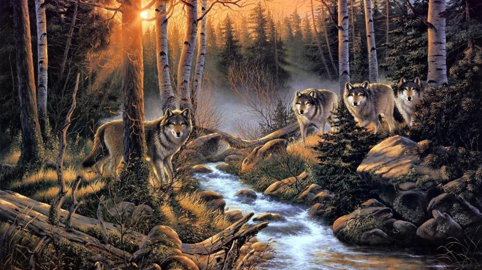 Wolf River Meeting wallpaper,forest HD wallpaper,trees HD wallpaper,stream HD wallpaper,wolves HD wallpaper,river HD wallpaper,wolf HD wallpaper,sunset HD wallpaper,animals HD wallpaper,1920x1080 wallpaper