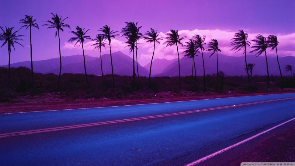 Beautiful Purple Lscape wallpaper,trees HD wallpaper,purple HD wallpaper,road HD wallpaper,mountains HD wallpaper,nature & landscapes HD wallpaper,1920x1080 wallpaper