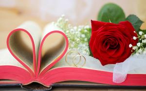 Red flowers, roses, Valentine's Day, book, love hearts, rings wallpaper thumb