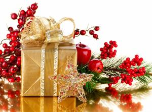 new year, christmas, holiday, thread, needles, gift, berries, star wallpaper thumb